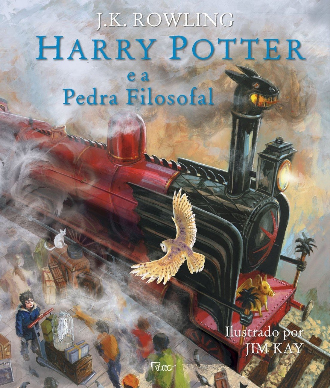 Coleção de livros ilustrados de presente para fãs de Harry Potter