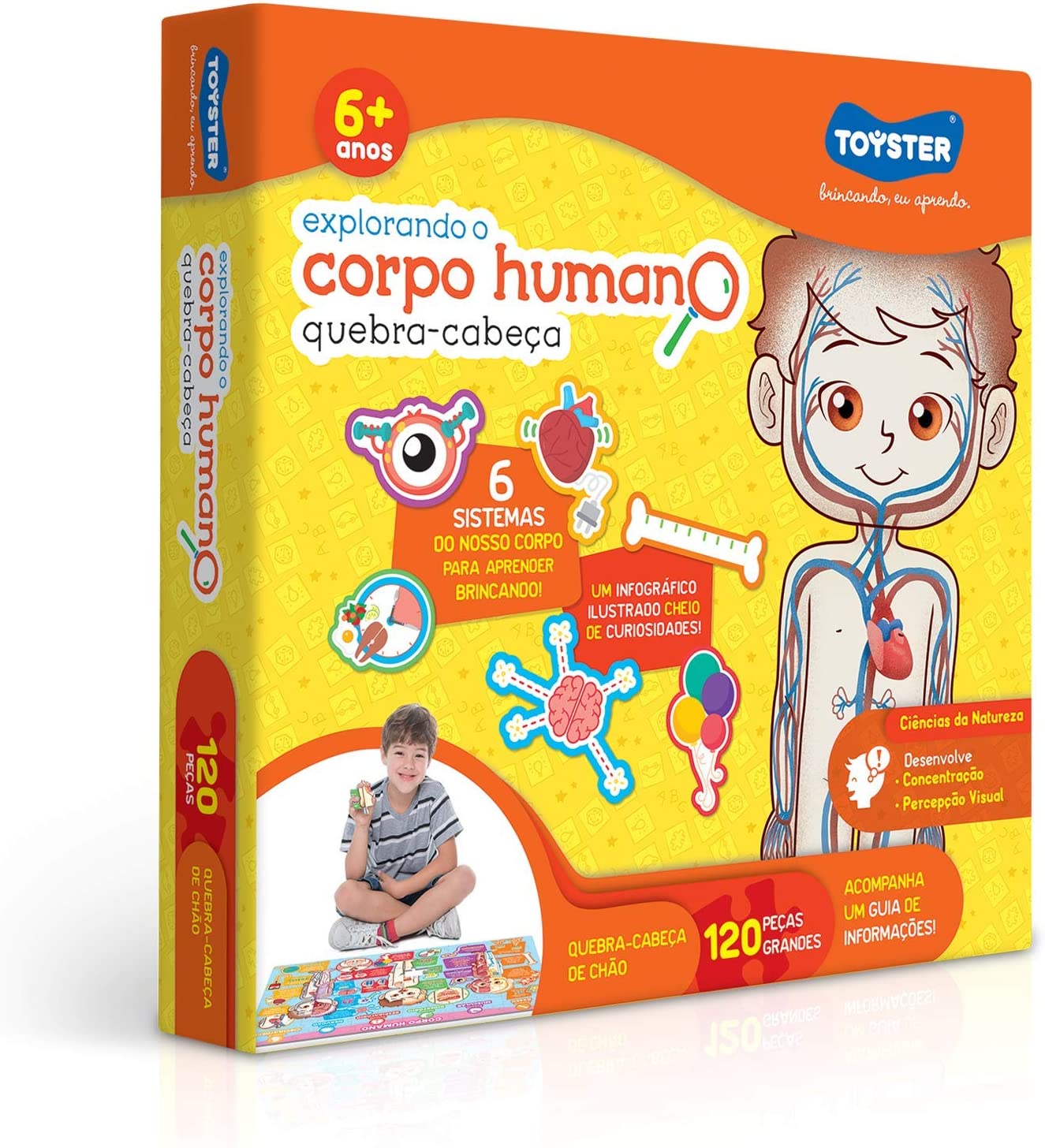 jogo educativo 6 anos Explorando o Corpo Humano