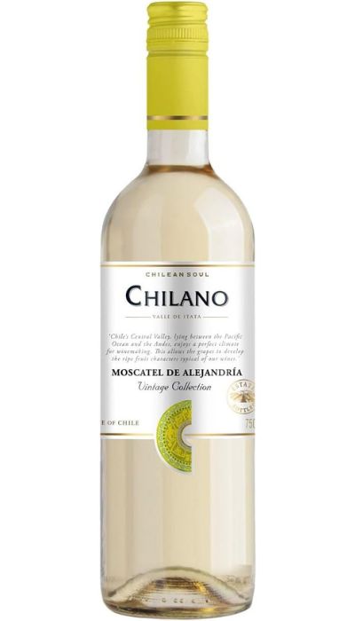 vinho branco Chilano Sauvignon Blanc